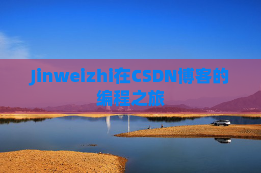 Jinweizhi在CSDN博客的编程之旅
